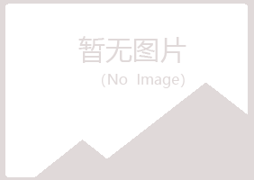 银川西夏敷衍能源有限公司